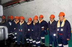 “110工法”采煤工藝已在全國(guó)500多家煤礦推廣應(yīng)